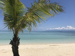 Fototapeta na wymiar Palm trees on beautiful white sand beach, Modessa Island, Palawan, Philippines