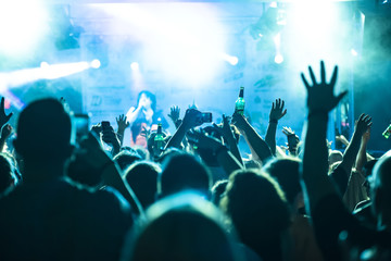 Big Crowd celebrating a live concert