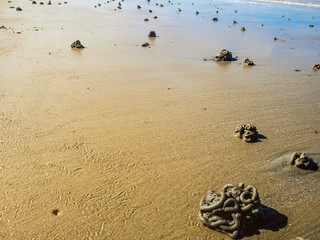Close up Lugworm casts on the beach ,Summer concept