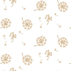 Fototapety  Projekt wektor wzór prosty kwiat mniszka. Śliczne florals pojedynczy pastelowy kolor na białym tle.