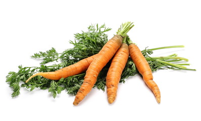 Fresh carrots isolated on white background