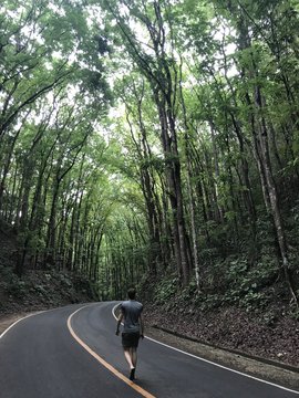 Man wlaking on street in Man Made Forest, Bohol, Visayas, Philippines