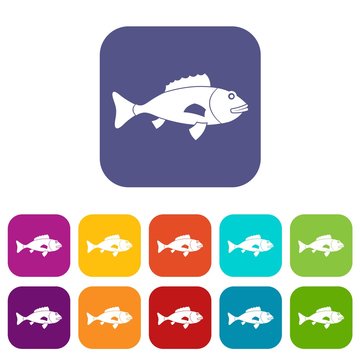 Fish icons set vector illustration in flat style in colors red, blue, green, and other