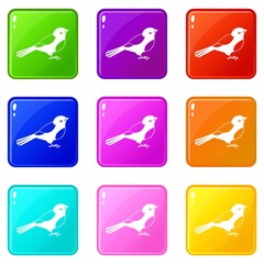 Bird icons of 9 color set isolated vector illustration