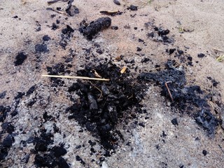 remains of bonfire