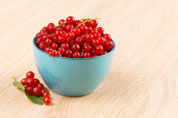 Rote Johannisbeeren in einer blauen Schale