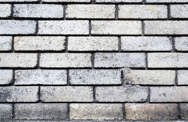 Fototapeta premium Brick wall. Texture.