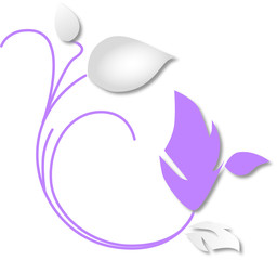 violet leaves