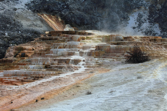 Low Terraces, Mammoth Hot Springs, Yelowstone NP 