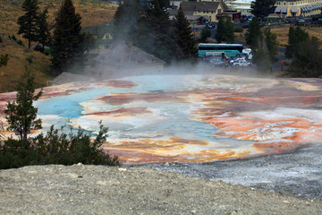 Upper Terraces, Mammoth Hot Springs, Yelowstone NP 