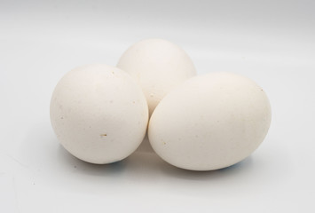 eggs, round, white, shell, chicken, chicken yazza, clean cook, food