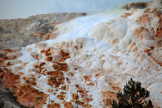 Upper Terraces, Mammoth Hot Springs, Yelowstone NP 