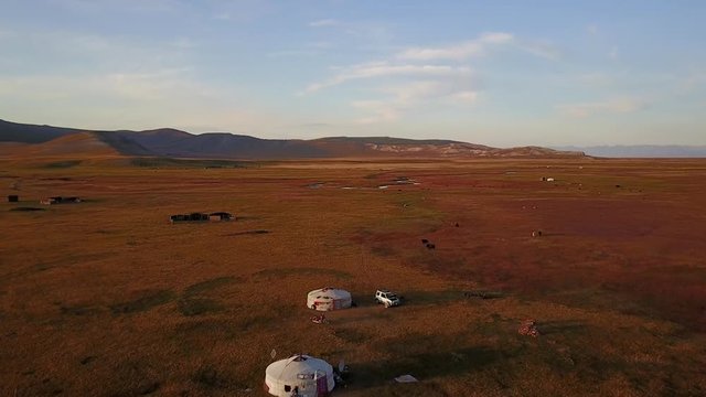Aerial view from a drone of traditional gers in a Mongolian steppe on an autumn day. Lake Khuvsgol, Mongolia.