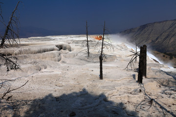 Upper Terraces, Mammoth Hot Springs, Yelowstone NP 