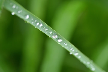 cold rainy weather in summer