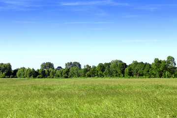 Meadow, trees and beautiful sky