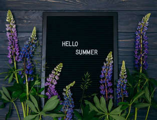 Summer Season Fun Rest Concept