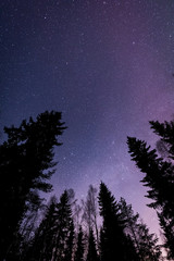 Millions of stars in the night sky in Ylikiiminki, Finland.