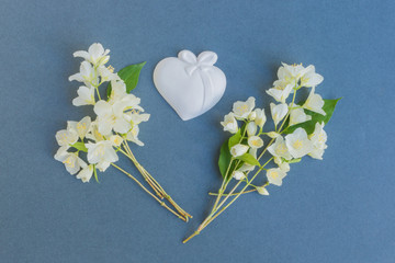 White jasmine flowers on a dark background