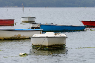 wooden fishing boats moored