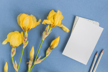 Mockup white greeting card with iris flower