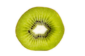 kiwi on a white background