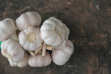 Garlic bulb with rustic background