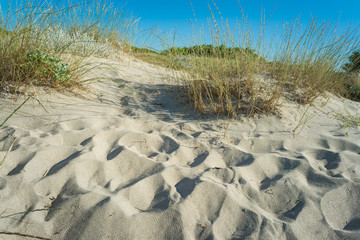 Fototapeta na wymiar Dune of sand on the beach