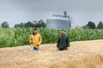 Farmers walking in wheat field