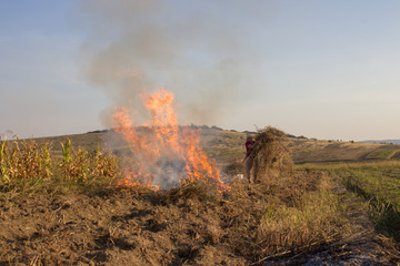 woman burns the grass in the village in autumn