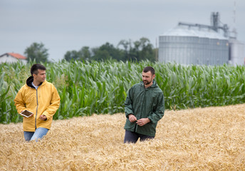 Farmers walking in wheat field © Budimir Jevtic