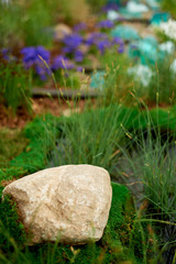 The stone lies on the moss, cereals grow nearby. Garden design