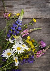 Wild flowers on old grunge wooden background (chamomile lupine dandelions thyme mint bells rape)