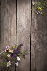 Fototapeta na wymiar Wild flowers on old grunge wooden background (chamomile lupine dandelions thyme mint bells rape)