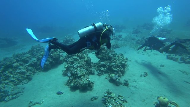 Nurkowanie Dahab
