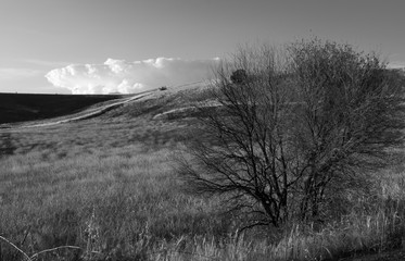 Country Catenanuova
