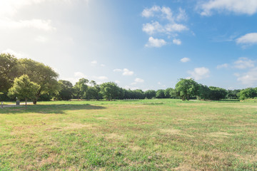 Shady pathway through green city park in Irving, Texas, USA. Beautiful well-groomed grass lawn, tall trees lush illuminated by sunshine during early summer morning. Urban ecology concept background