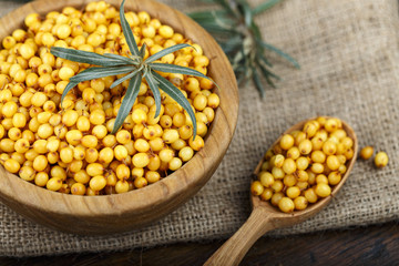 fresh organic sea-buckthorn