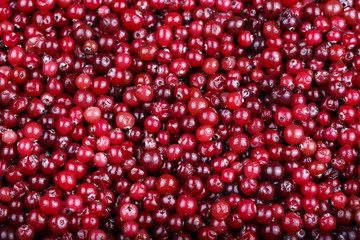 cranberry as a background