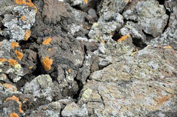 Vulkangestein auf Lanzarote