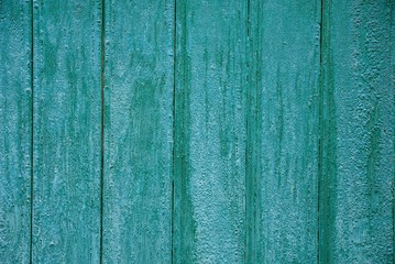 Fototapeta na wymiar gray green wooden texture of wide boards on the wall