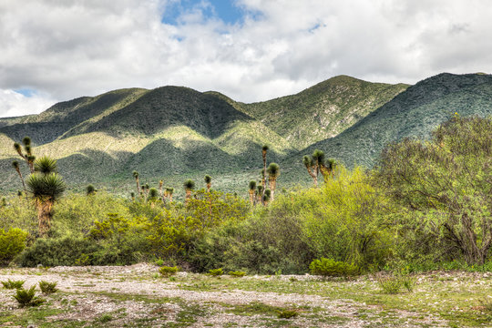 Landscape of mountains in Mexico