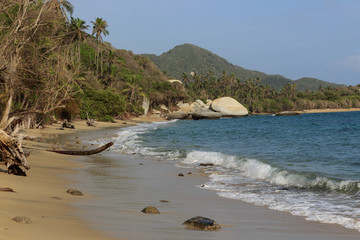 Beach in tyrona national park, colombia