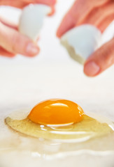 Organic Egg is Being Broken on Smooth Countertop