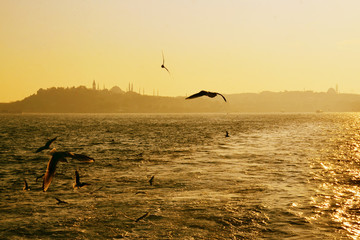 Istanbul the capital of Turkey, eastern tourist city.