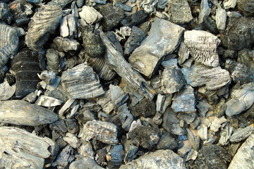 Black coals in the grill. Burned wood. Close-up. Background. Texture.