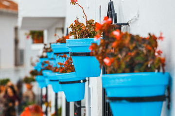 decorated facade of house with flowers in blue pots in Mijas, Spain
