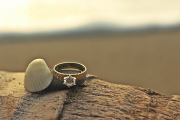el mar y el anillo
