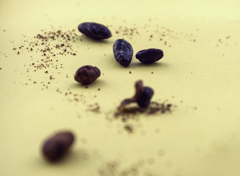 cocoa