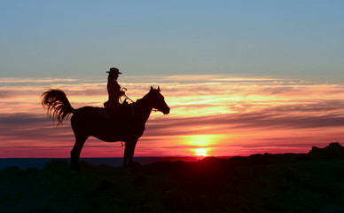 Silhouette of Cowgirl, ride on Arabian stallion in colorful sunset. Romantic concept for safari Africa background. Horse hiking on red rising sun